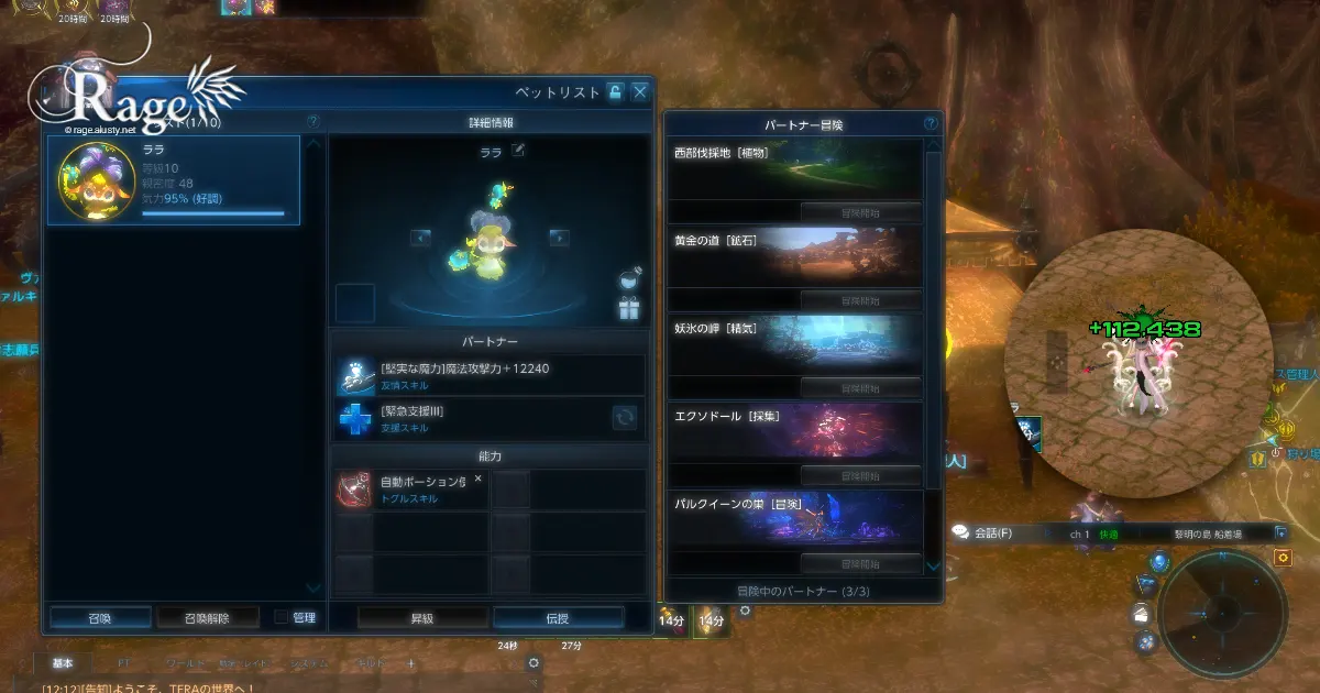 プリーストのパートナーをちゃんとしたつもりでした。