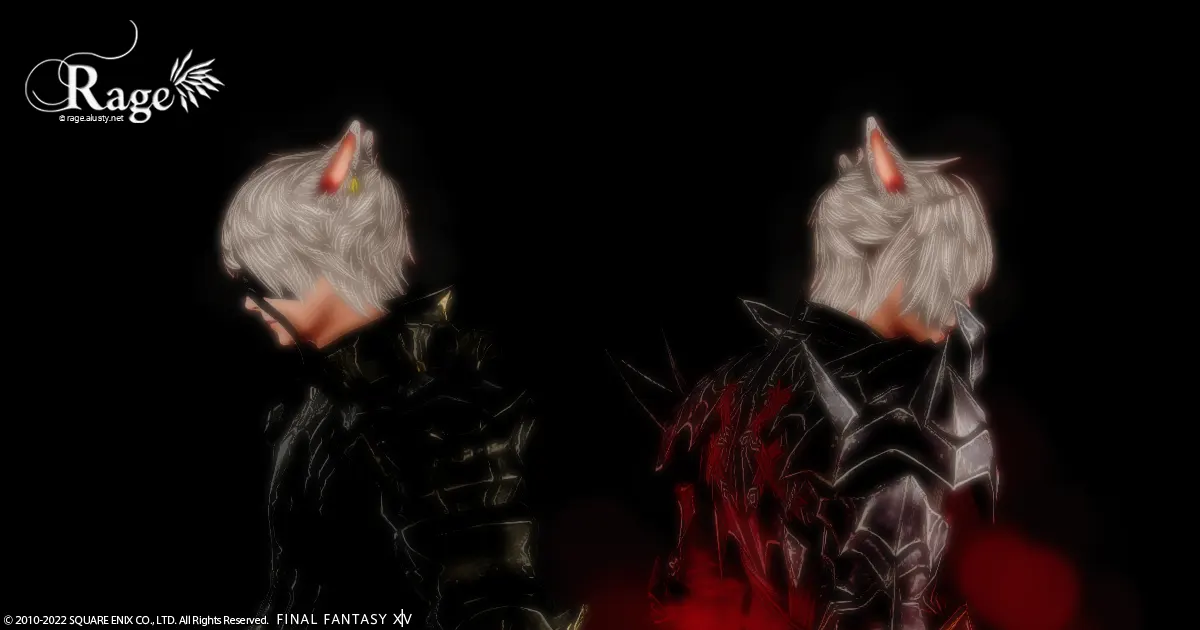 暗黒騎士がLV50になりました。