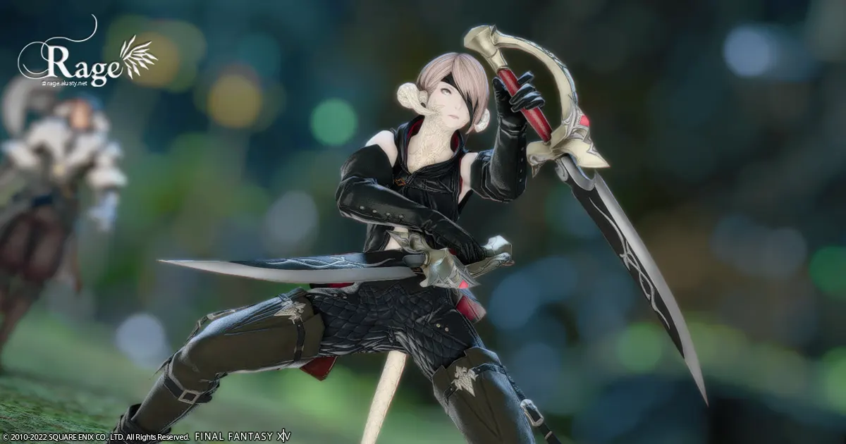 忍者になりました。