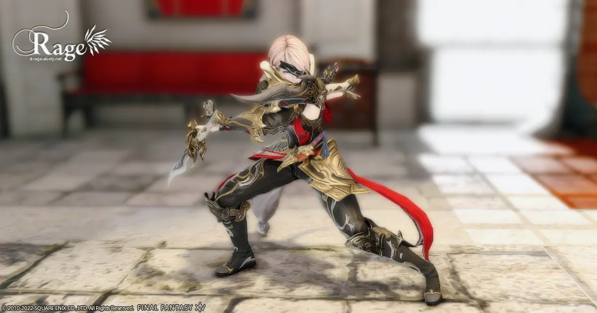 忍者がLV80になりました。