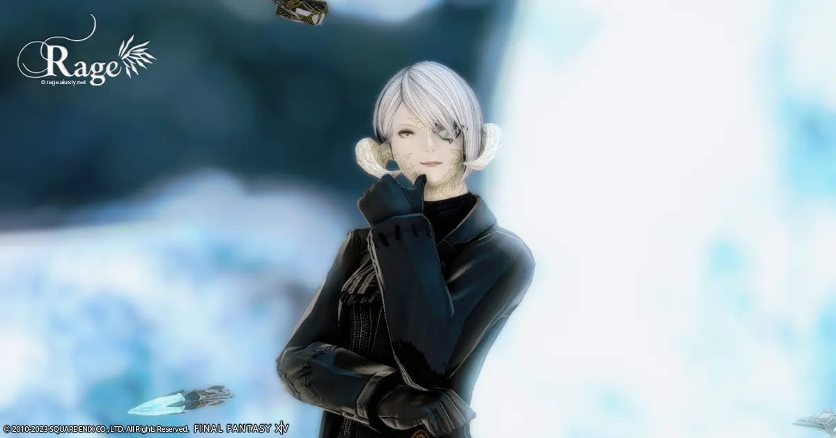 賢者のレベリングを始めました。